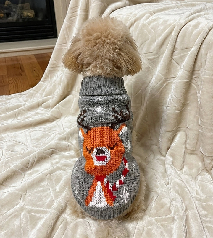 Grey Reindeer sweater on a small dog