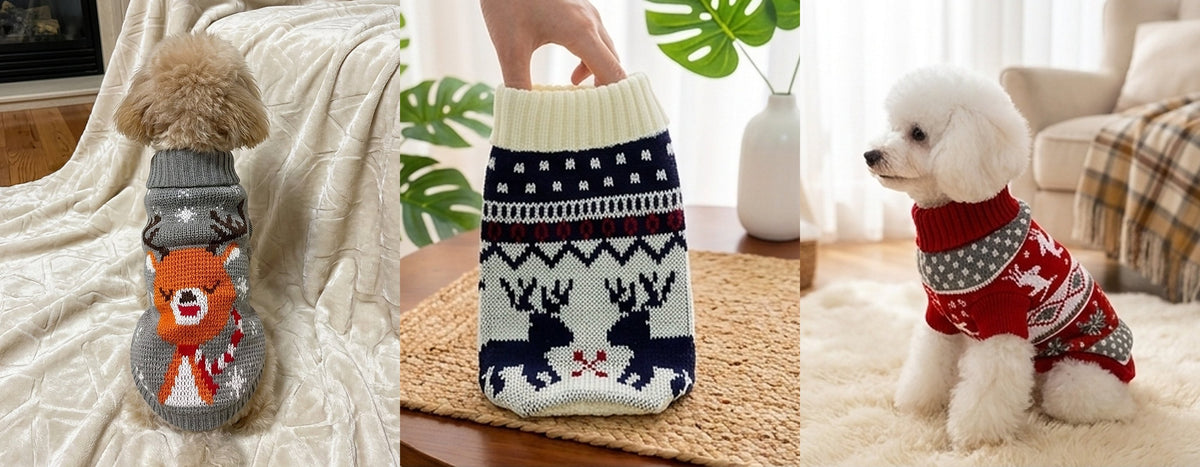 Small dogs in CozyPaws Christmas sweaters