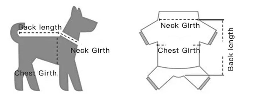 How to measure: back length, neck and chest